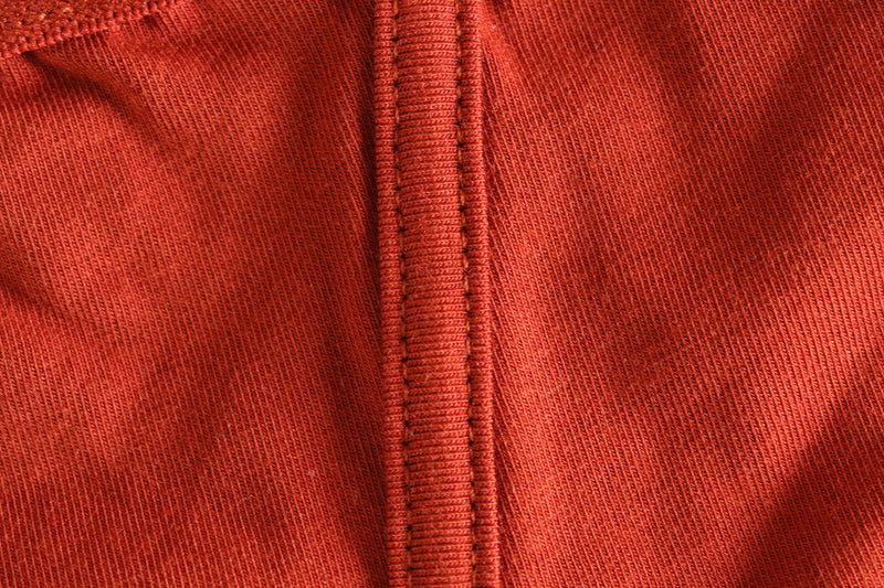 Pétrone slip coton pima micromodal rouille homme
