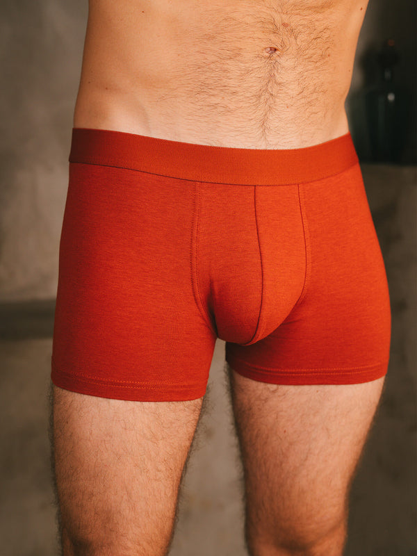 Pétrone boxer confort coton biologique Tencel Lyocell rouille homme