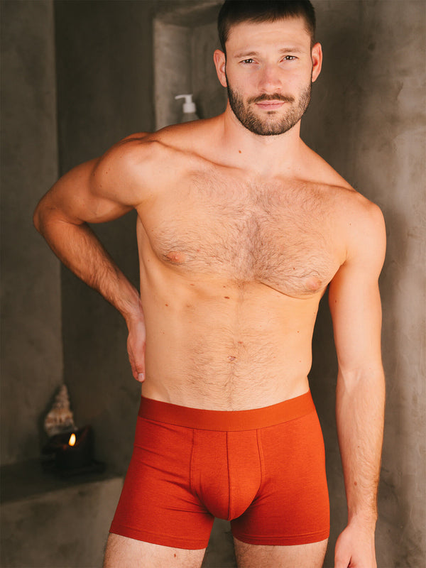 Pétrone boxer confort coton biologique Tencel Lyocell rouille homme