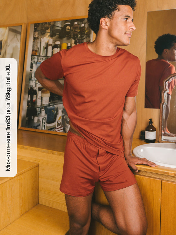 Pétrone caleçon coton pima micromodal rouille homme