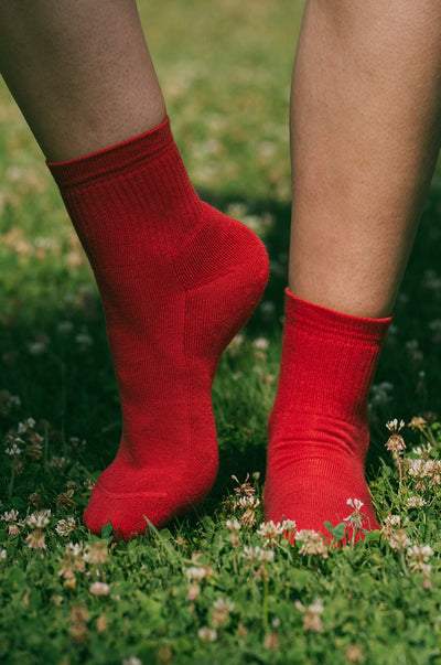 Pétrone chaussettes de tennis coton bio ecocell rouge homme