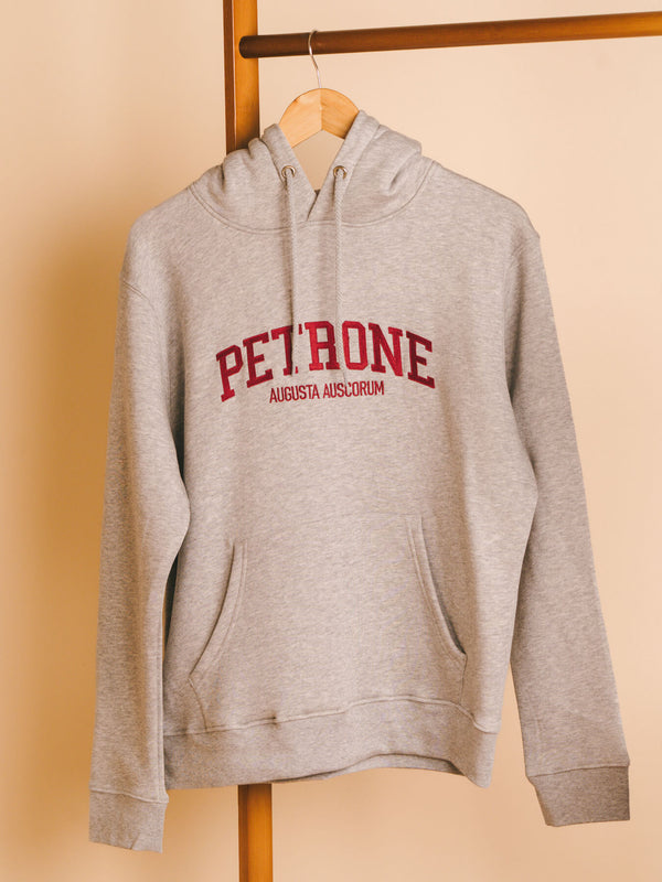 Pétrone sweat capuche hoodie homme Tencel coton bio gris chiné clair homme