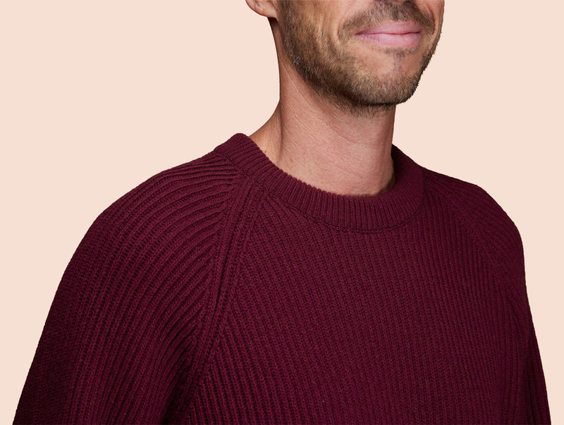 Pétrone Pull Réconfortant bordeaux foncé homme