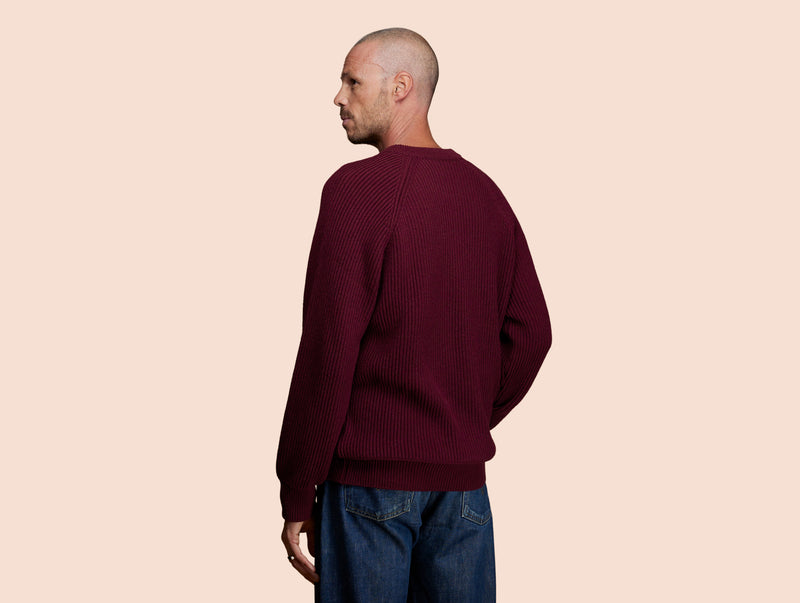 Pétrone Pull Réconfortant bordeaux foncé homme