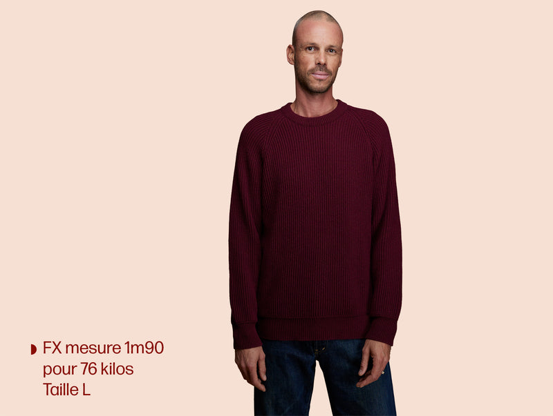 Pétrone Pull Réconfortant bordeaux foncé homme