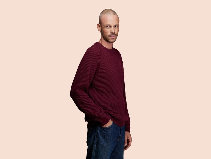 Pétrone Pull Réconfortant bordeaux foncé homme