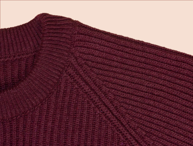 Pétrone Pull Réconfortant bordeaux foncé homme zoom