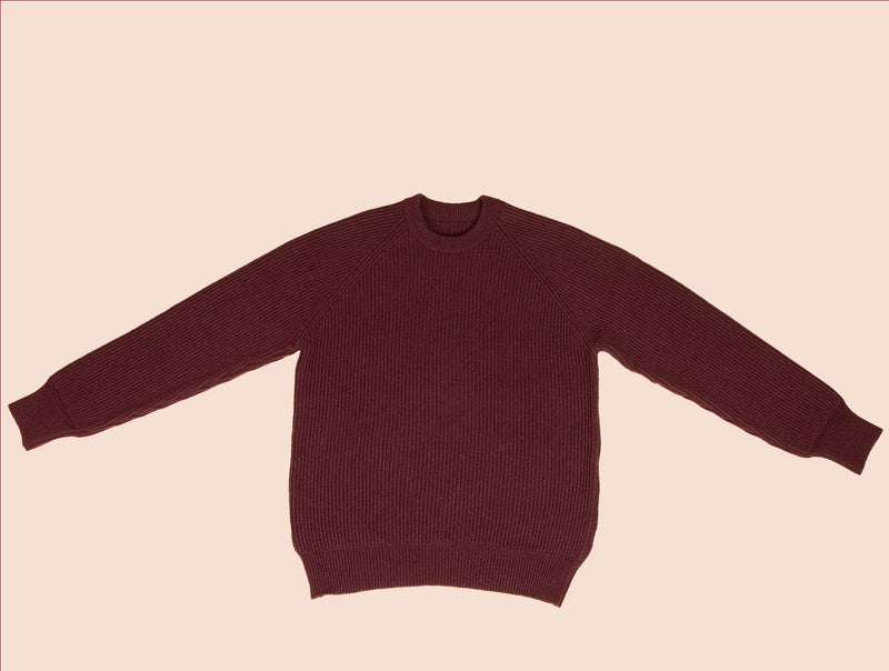 Pétrone Pull Réconfortant bordeaux foncé homme face