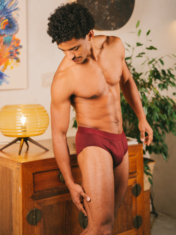 Pétrone slip coton biologique Tencel bordeaux foncé homme