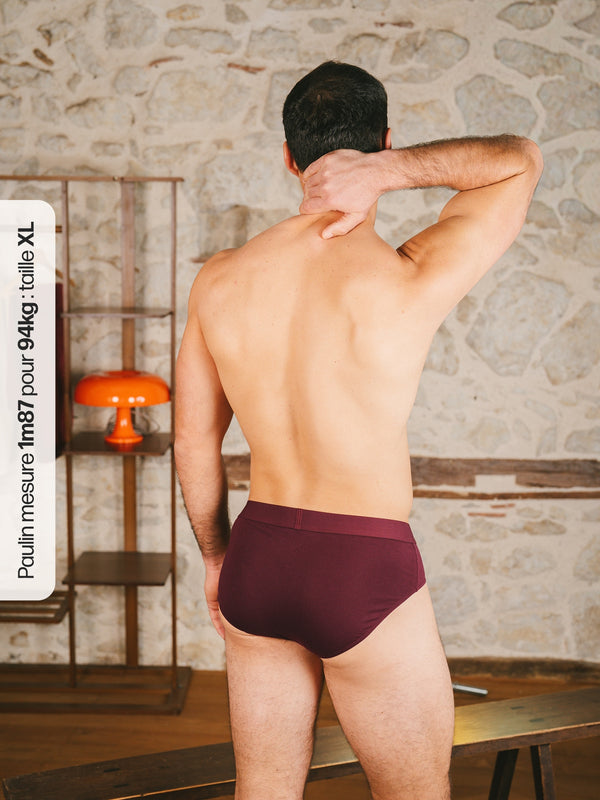 Pétrone slip sport tencel bordeaux foncé homme