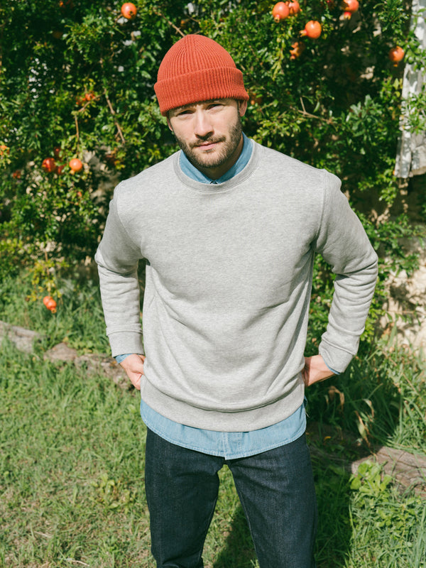 Pétrone sweat homme Tencel coton bio gris clair homme