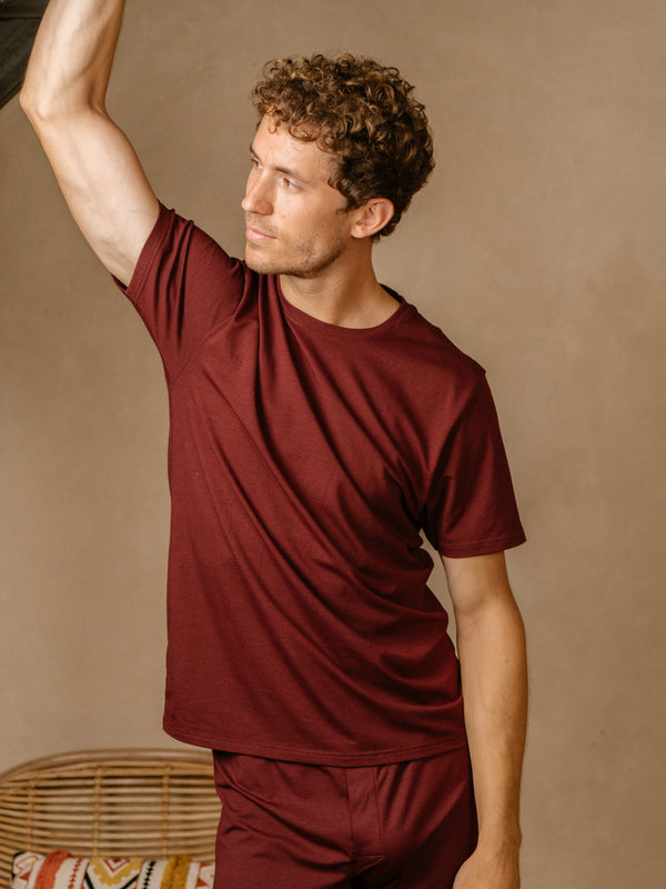 Pétrone T-shirt manches courtes coton pima micromodal bordeaux foncé homme