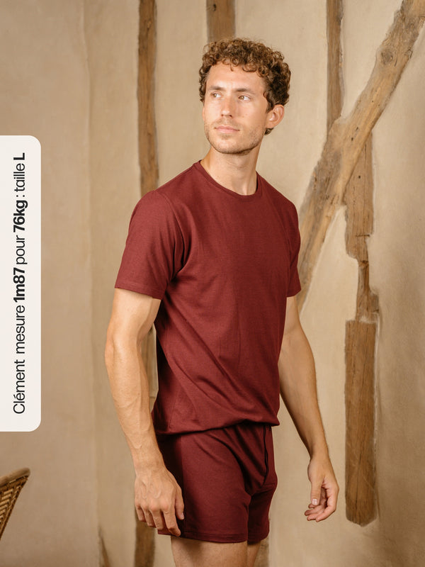 Pétrone T-shirt manches courtes coton pima micromodal bordeaux foncé homme