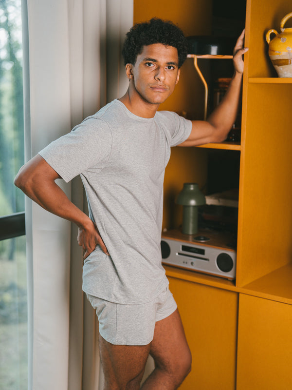 Pétrone T-shirt manches courtes coton pima micromodal gris chiné clair homme