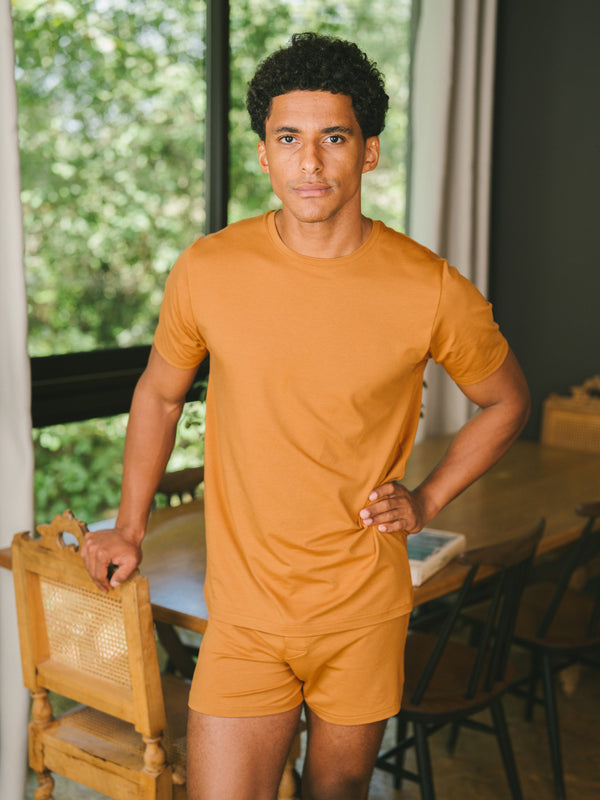 Pétrone T-shirt manches courtes coton pima micromodal ocre homme