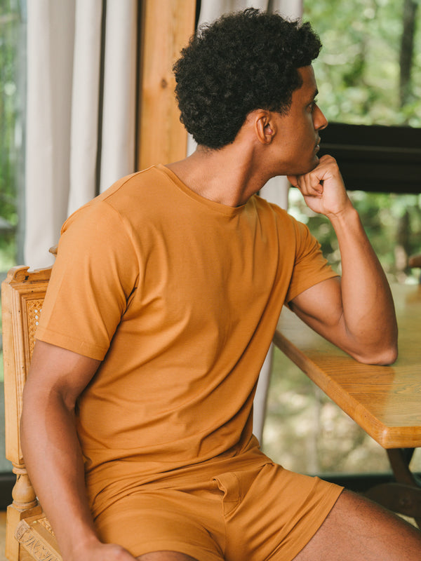 Pétrone T-shirt manches courtes coton pima micromodal ocre homme