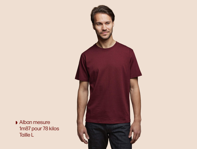 Pétrone T-shirt manches courtes coton pima micromodal bordeaux homme