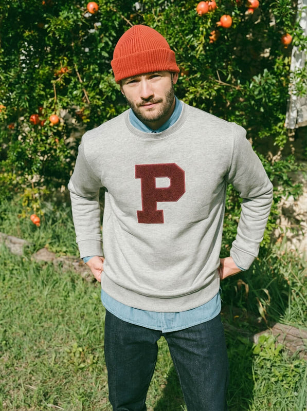 Pétrone sweat homme Tencel coton bio gris clair