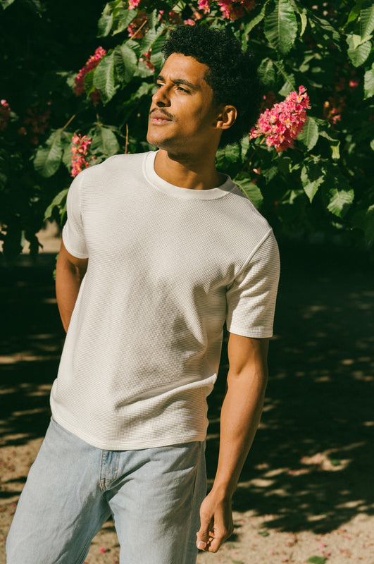 Pétrone T-shirt manches courtes coton bio tencel blanc crème homme