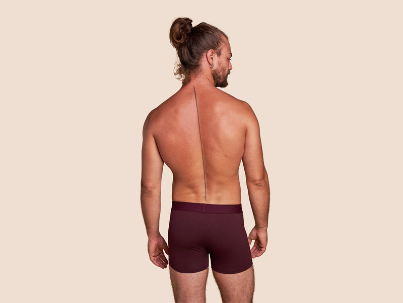Pétrone boxer coton bio lie-de-vin homme