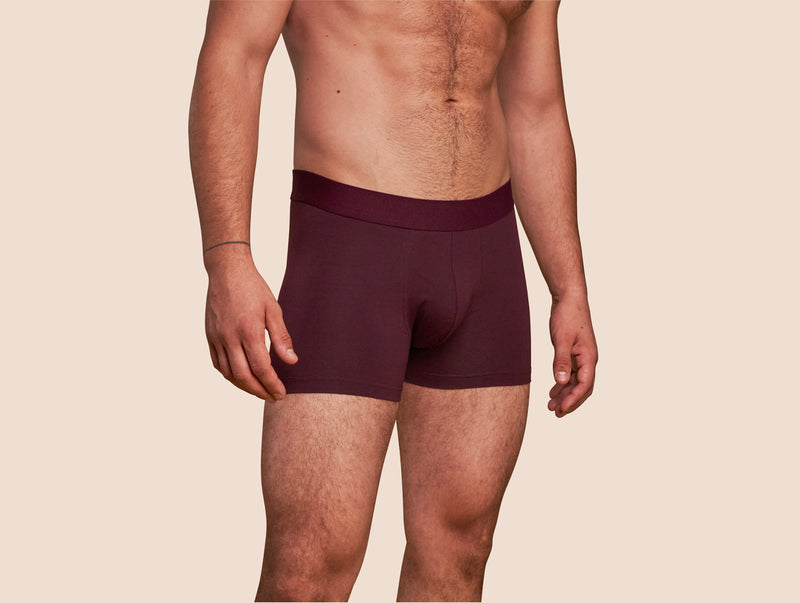 Pétrone boxer coton bio lie-de-vin homme
